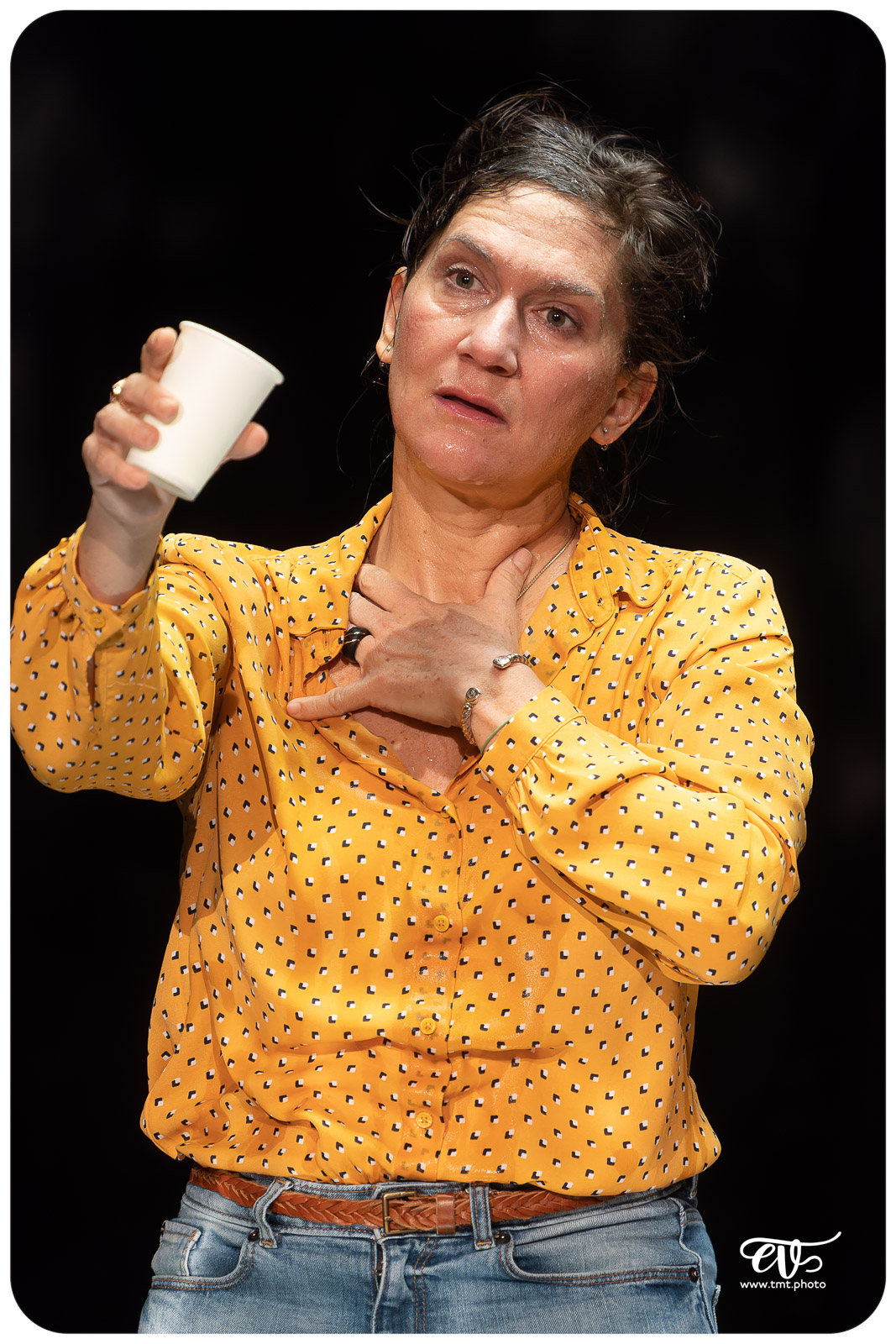 L'ARAIGNEE (CIE LA CHAIR DU MONDE)